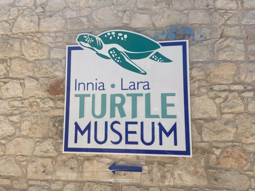 Музей черепах Иния-Лара в округе Пафос: фото 2