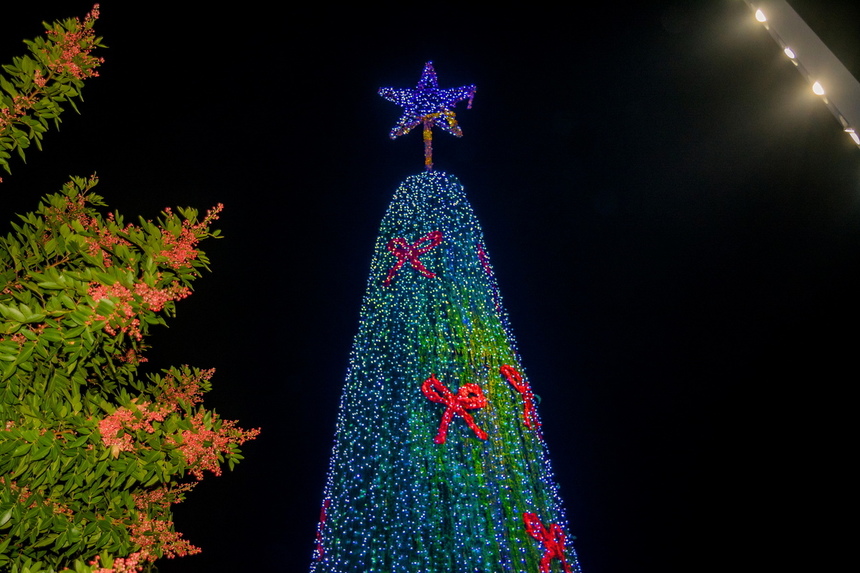 Праздник к нам приходит: Пафос, украшенный к Рождеству: фото 5