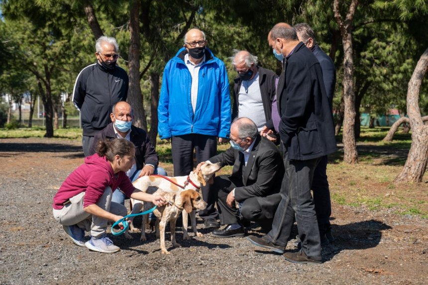 ​В Лимассоле открылся новый парк для выгула собак: фото 3
