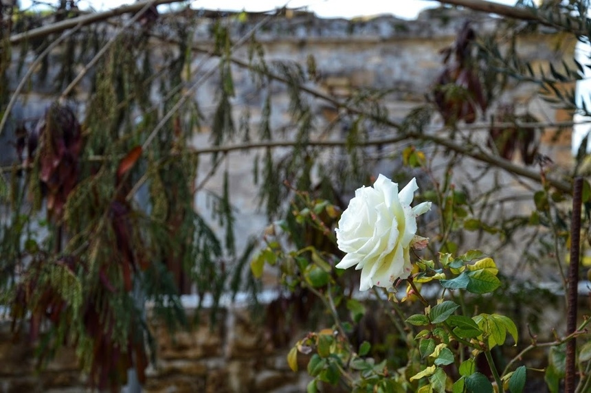 Путешествие по традиционным деревушкам Кипра. Хулу и секретный водопад. Часть 3: фото 20