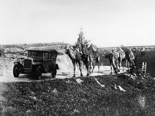 Шведско-кипрская археологическая экспедиция 1927–1931 годов: фото 3 Шведско-кипрская археологическая экспедиция 1927–1931 годов: фото 3