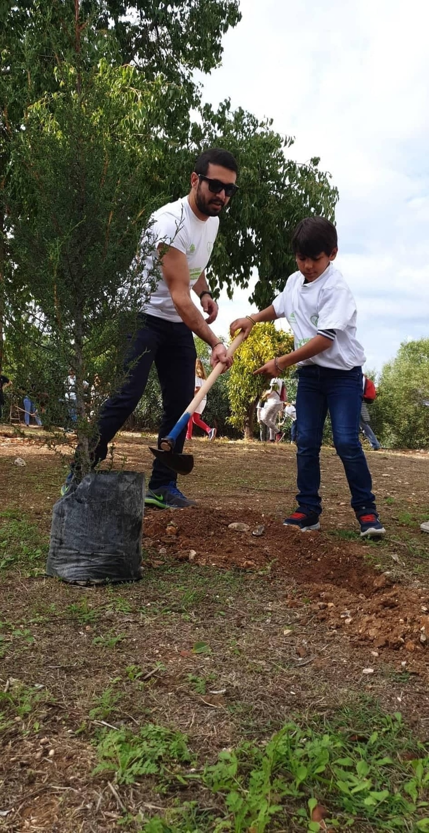 Жители Пафоса высадили 650 деревьев: фото 6