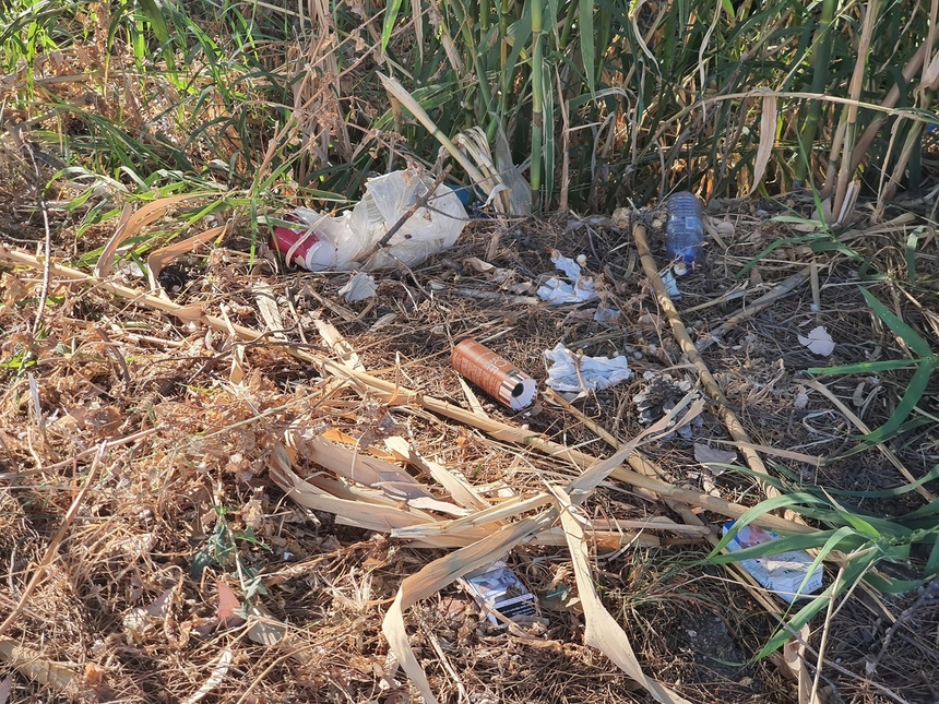 Парк Дасуди в Лимассоле снова зарастает мусором: фото 10