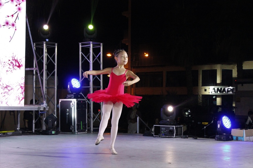 Яркий аккорд прошедших выходных на Кипре -  Фестиваль китайской культуры: фото 34