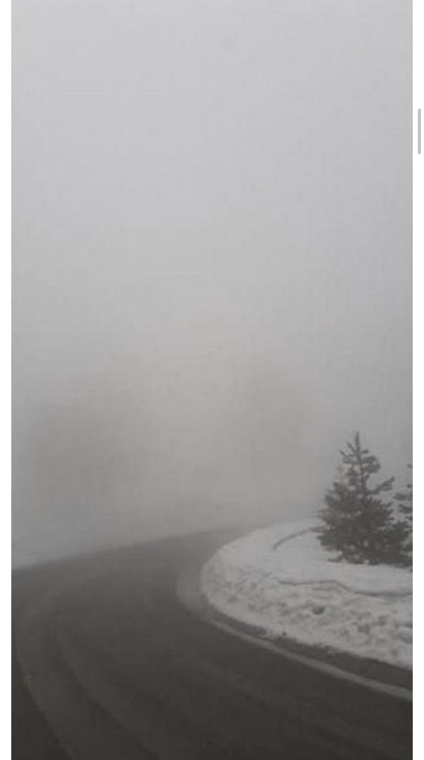 Троодос накрыло густым туманом: фото 2