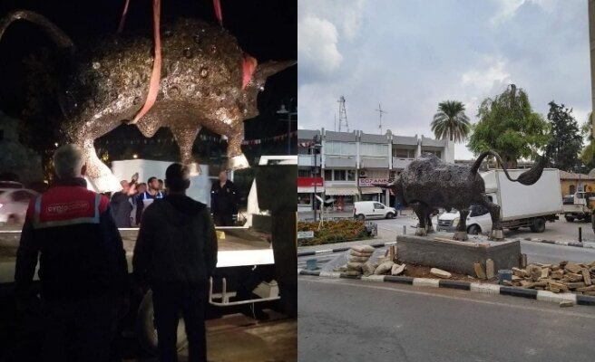 Власти ТРСК снесли украинского быка в Никосии: фото 2