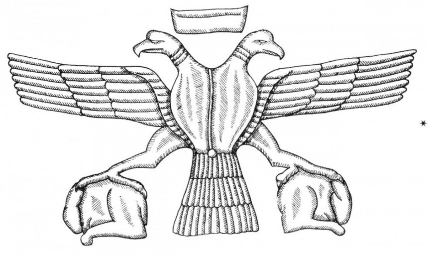 Кипрский орел: фото 17