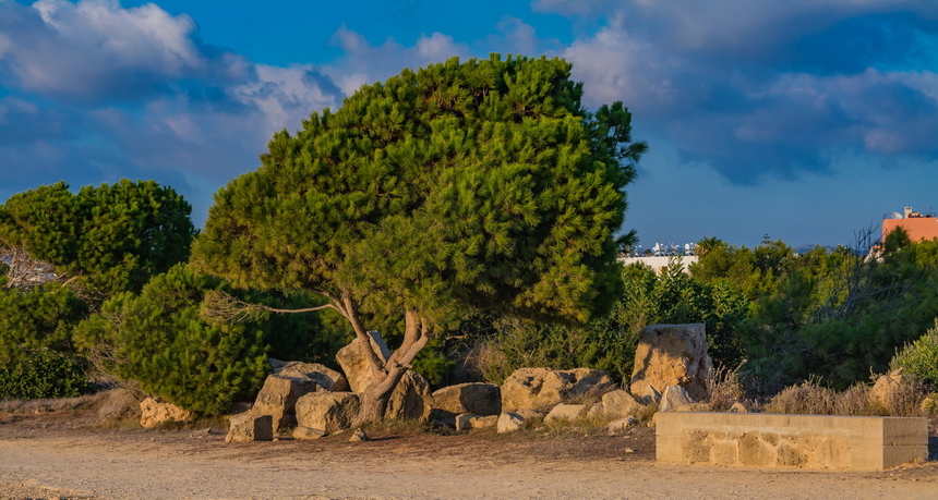 Гробницы Королей - одно из самых привлекательных мест в Пафосе: фото 5