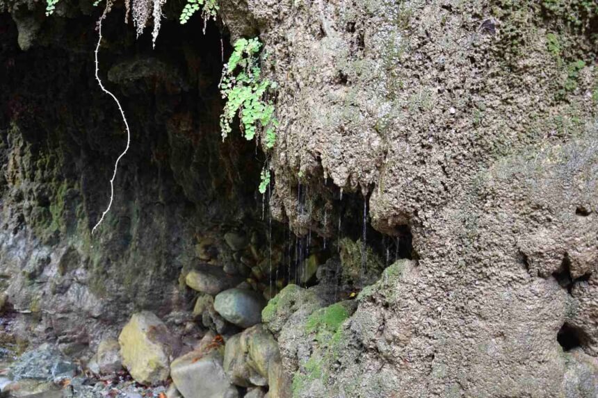 Пещеры со сталактитами на берегах реки Диаризос на Кипре (Фото и видео): фото 4