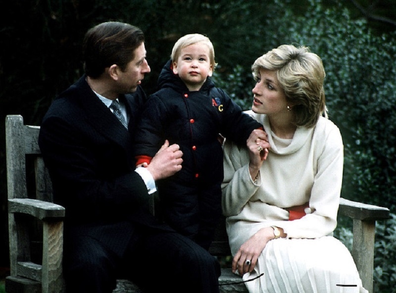 Красавица и вомбат: 10 интересных фактов о принце Уильяме и Кейт Миддлтон: фото 4