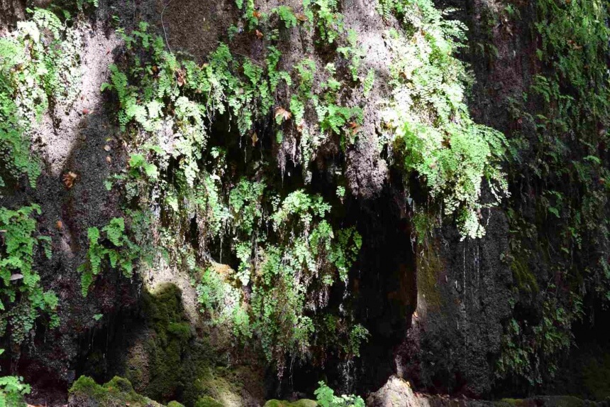 Пещеры со сталактитами на берегах реки Диаризос на Кипре (Фото и видео): фото 15