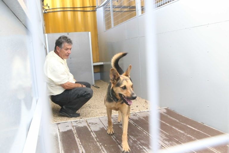  Председатель партии животных провел несколько часов в клетке для собак: фото 3