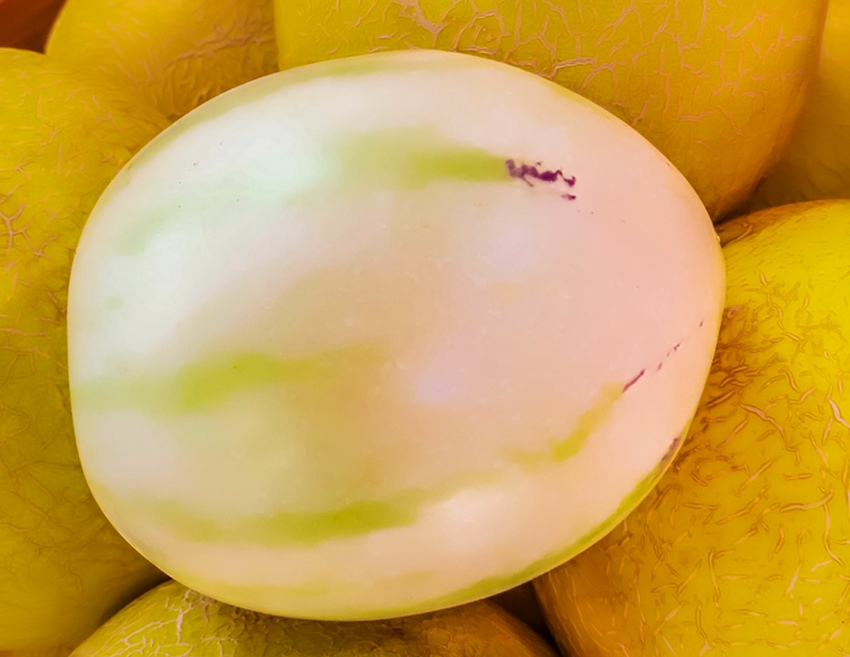 Пепино — необычный кипрский фрукт: фото 7