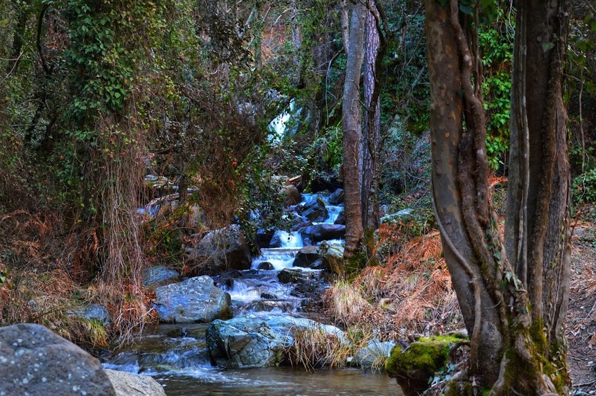 Путешествие до водопада Каледония на Кипре: фото 34