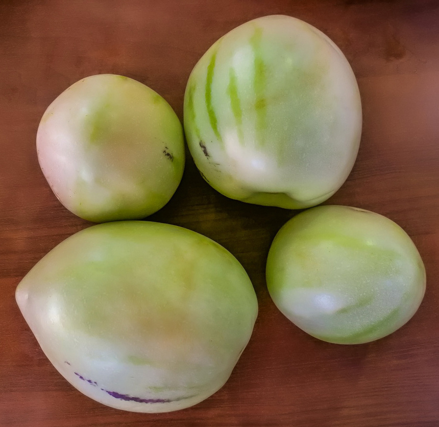 Пепино — необычный кипрский фрукт: фото 11