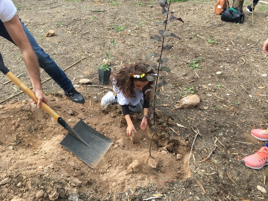 Жители Пафоса высадили 650 деревьев: фото 7