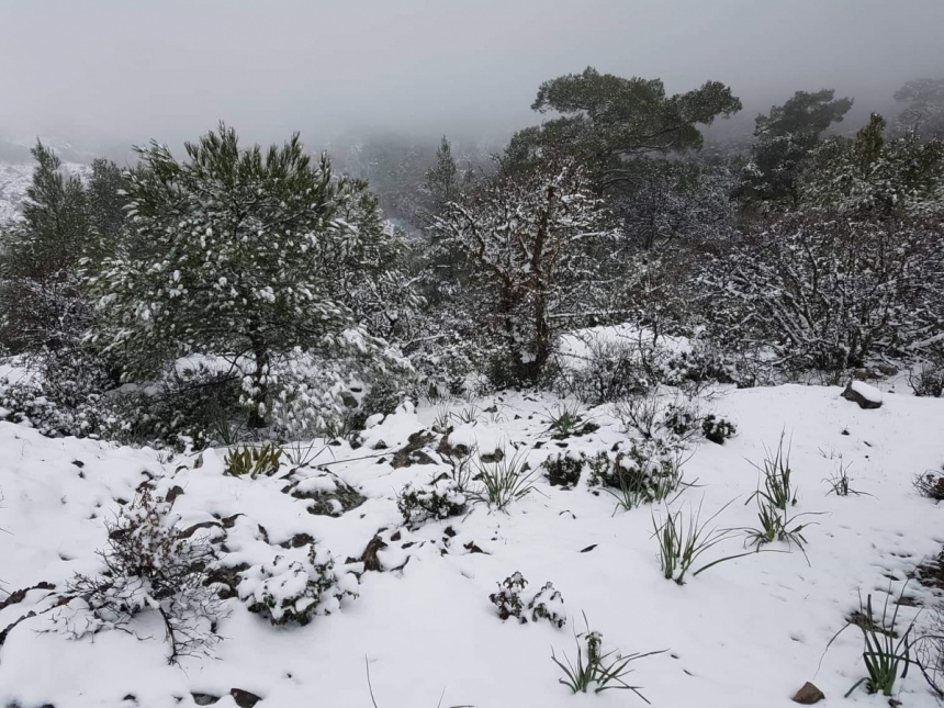 Погода на Кипре - март забыл, что он весна?: фото 13
