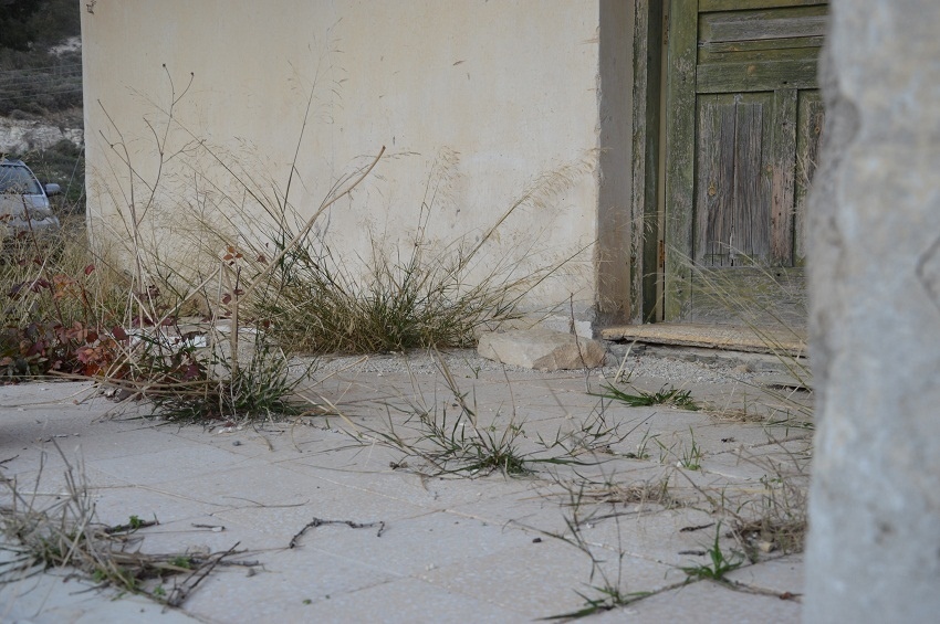 Дом с приведениями. Покинутый мир Кипра.Часть 5: фото 23