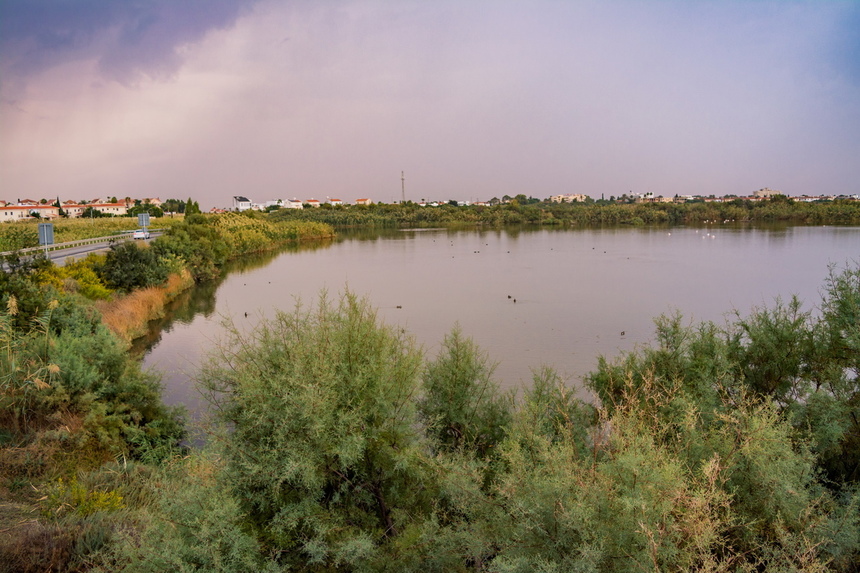 Озеро Ороклини - фантастическая охраняемая природная зона на Кипре и место для наблюдения за птицами : фото 8