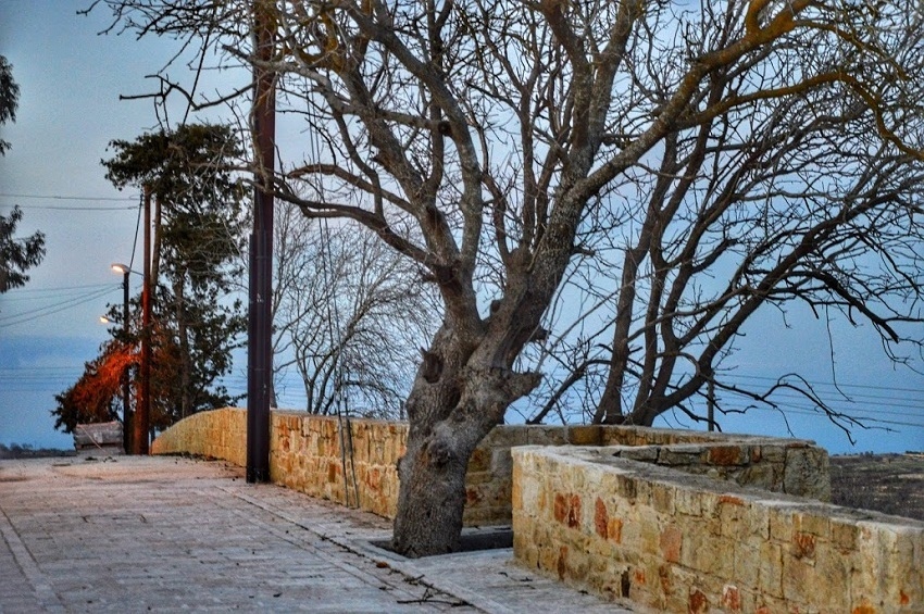 Путешествие по традиционным деревушкам Кипра. Катикас (Kathikas). Часть 2.: фото 45
