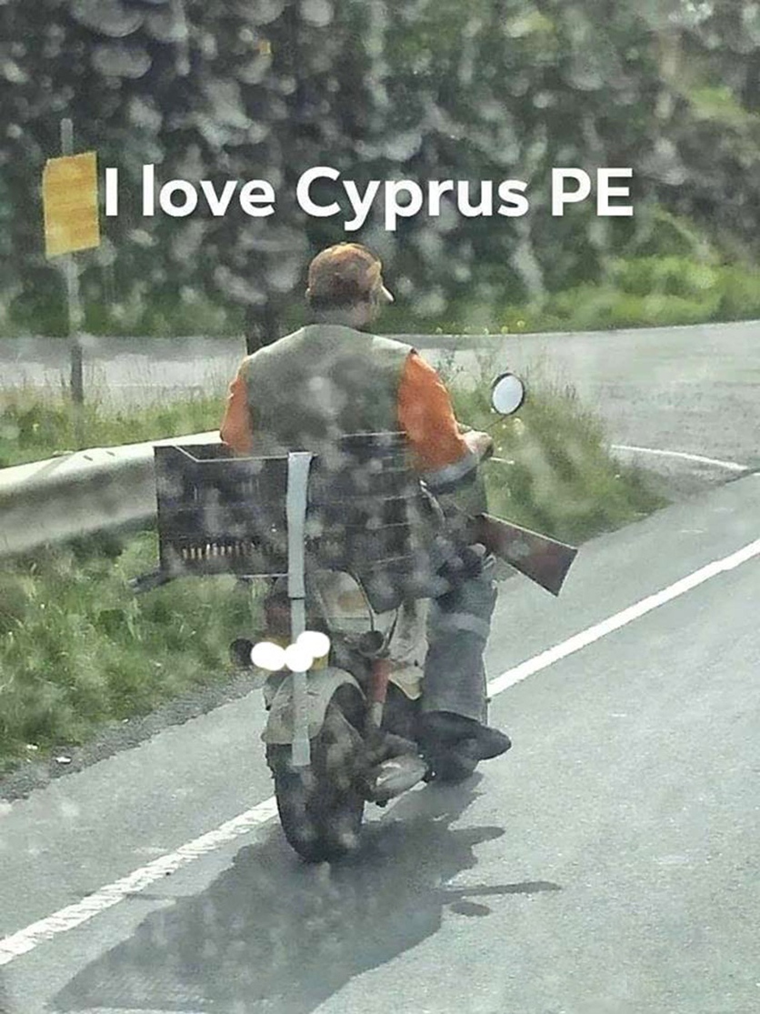 "Ехали медведи на велосипеде": Курьезные и странные случаи на кипрских дорогах! : фото 95