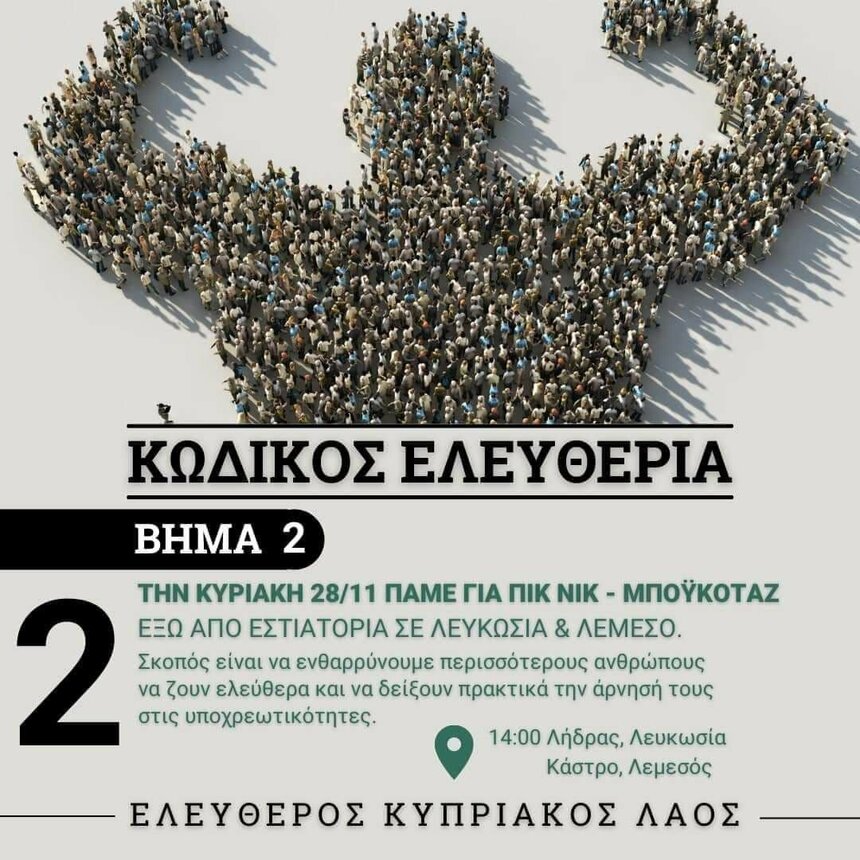 На Кипре проходят митинги против ковид-ограничений в школах: фото 6