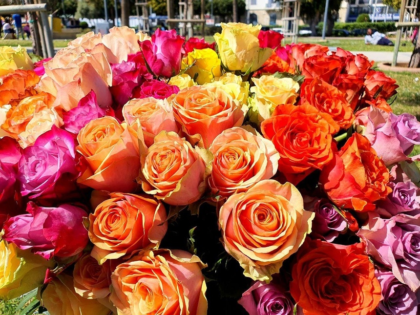 Редакция Cyprus Butterfly подарила жительницам Лимассола на 8 марта сотни роз: фото 6