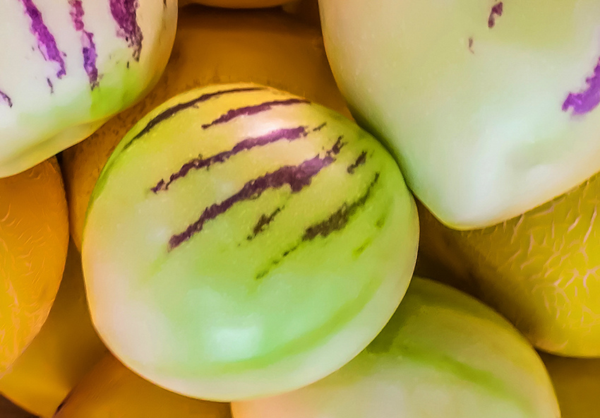 Пепино — необычный кипрский фрукт: фото 8