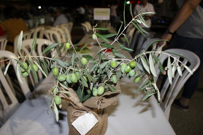 На Кипре прошел первый фестиваль зеленых оливок: фото 22