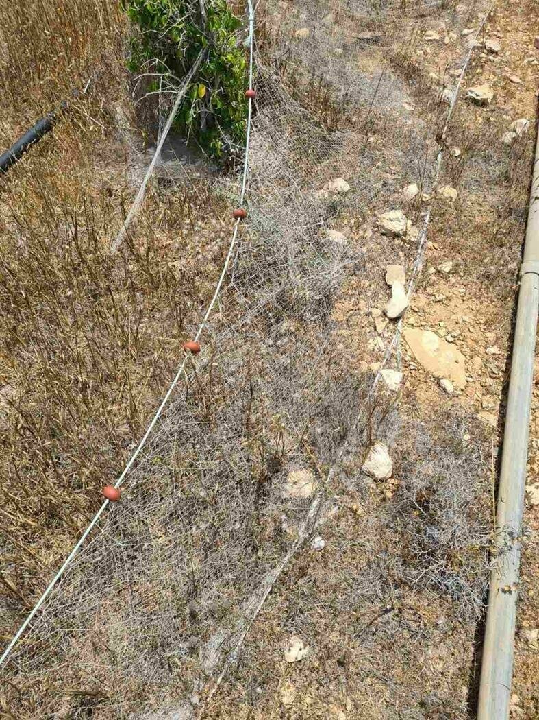На Кипре стартовала кампания против установки змеиных сетей: фото 4