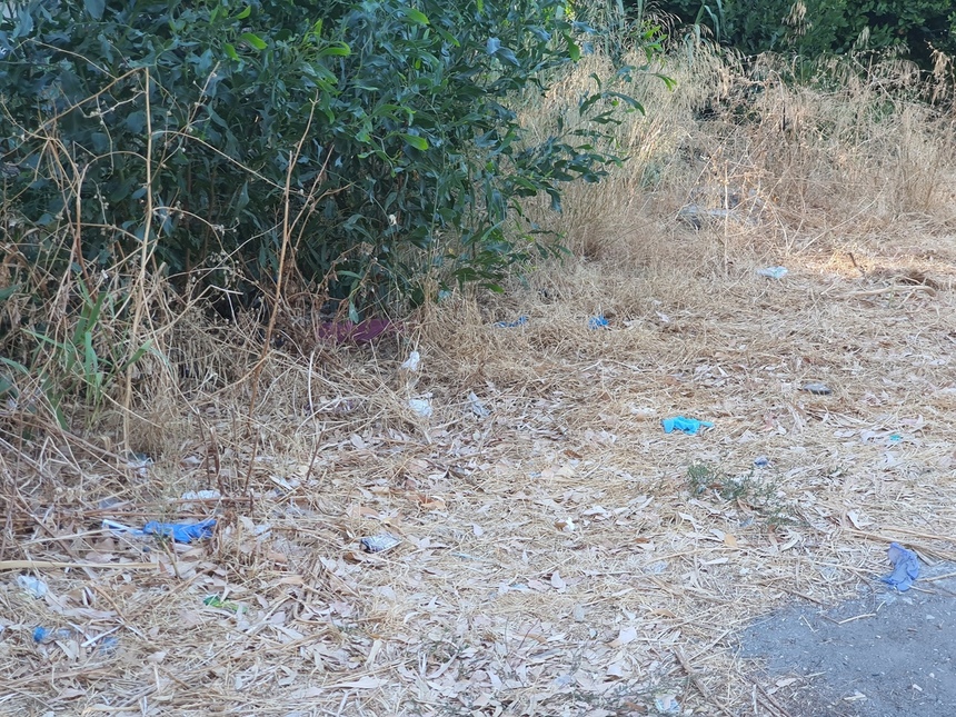 Парк Дасуди в Лимассоле снова зарастает мусором: фото 13