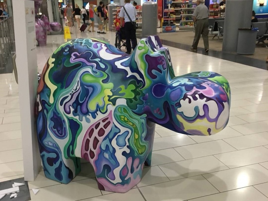 Акция «Let's Hippo together» переместилась в аэропорт Ларнаки: фото 9