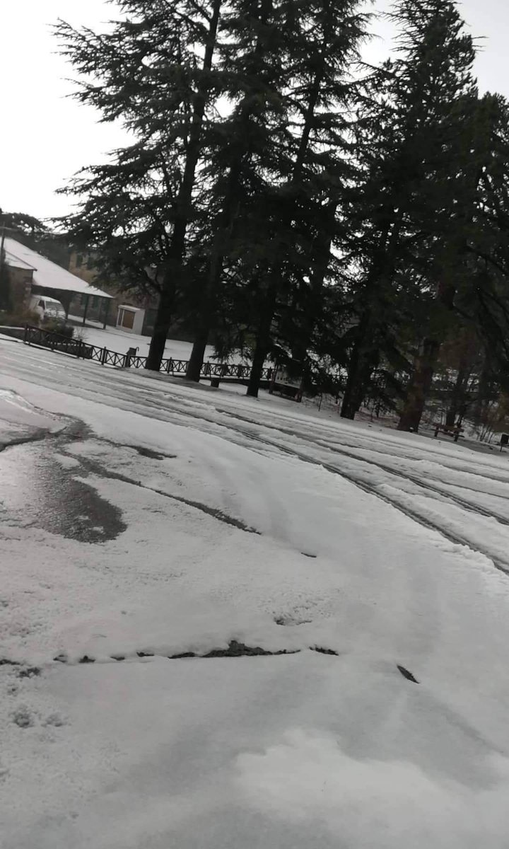 Троодос накрыло снежным покрывалом (Фото): фото 5