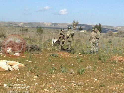 В Дении турецкие солдаты угрожали греко-киприоту автоматами: фото 4