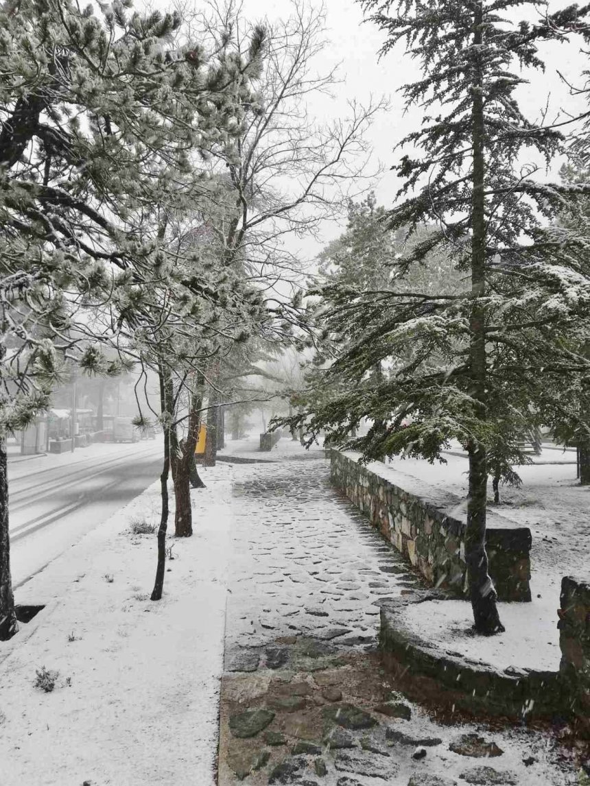 Ура! В Троодосе выпал снег: фото 6
