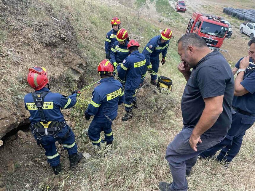 На Кипре провели спецоперацию по спасению козы: фото 3 На Кипре провели спецоперацию по спасению козы: фото 3