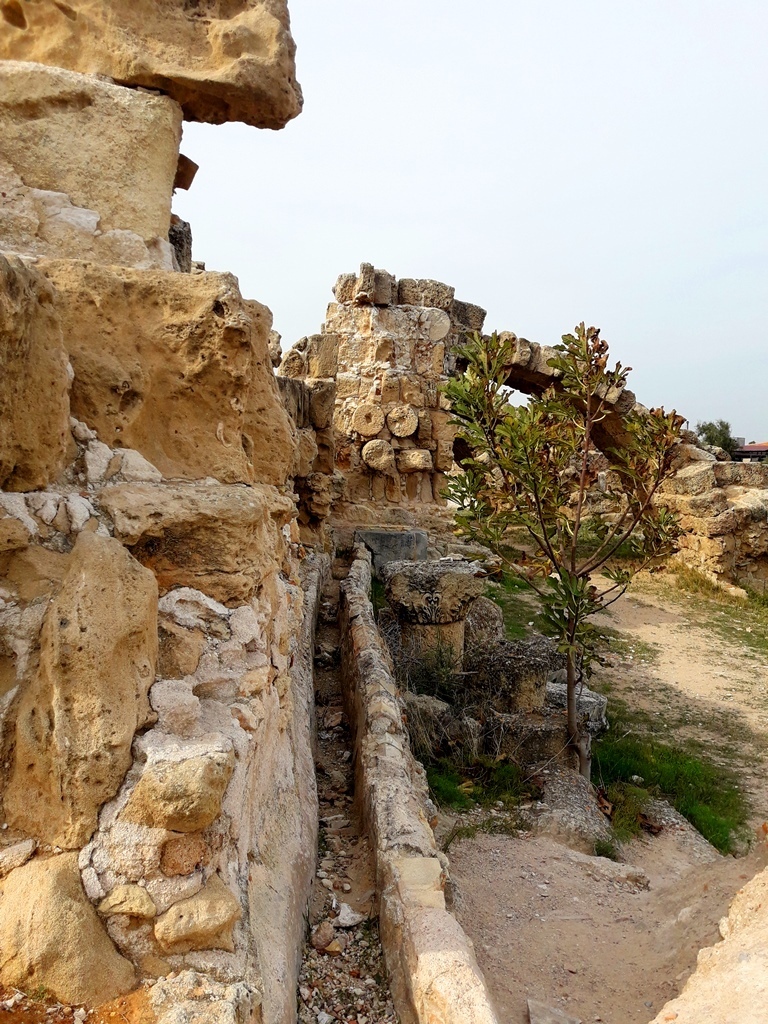 Дивная история саламинских руин: фото 42