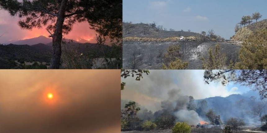 Кипр в огне: что натворил сильнейший в истории острова пожар: фото 4