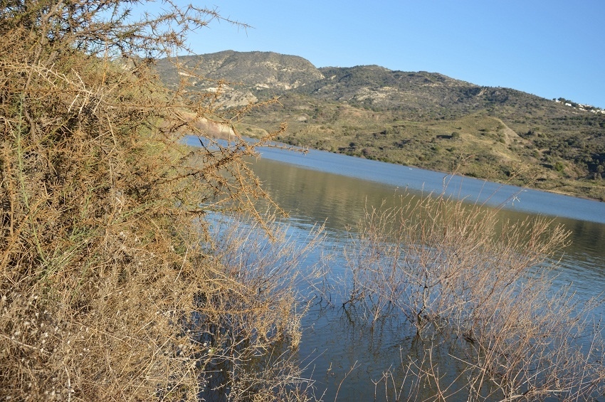 На Кипре переполнилось водохранилище Мавроколомбос : фото 13