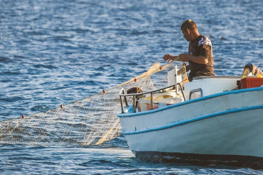 Греко-киприоты отказались закупать рыбу на северной части острова: фото 2
