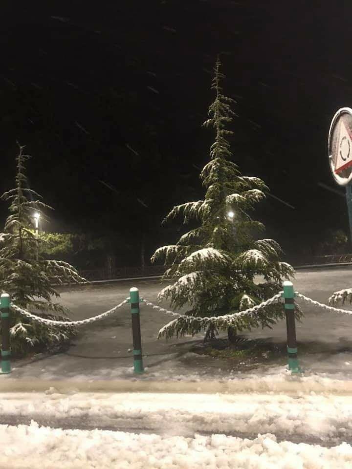 Троодос в канун Рождества засыпало снегом: фото 4