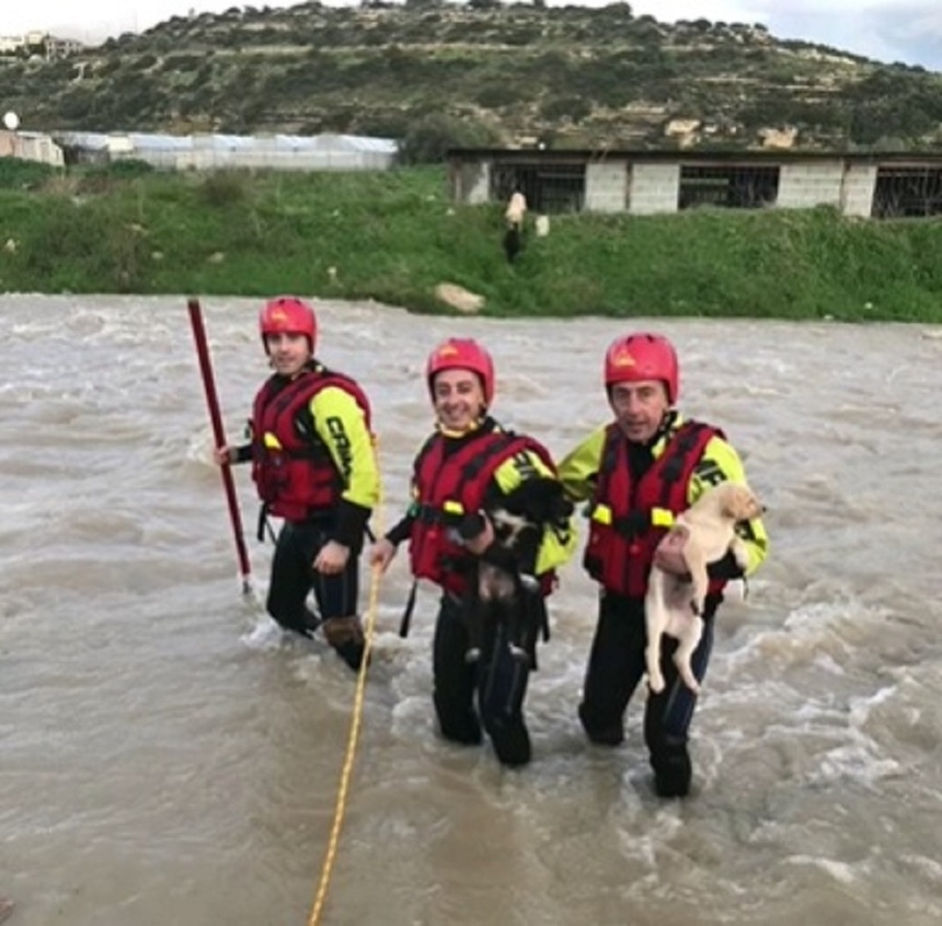 Кипрские спасатели поработали в качестве дедов Мазаев: фото 3