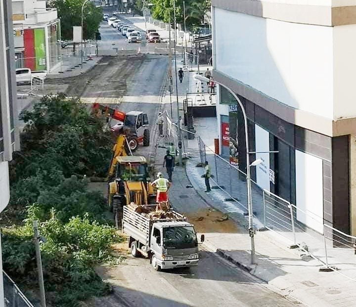 В Никосии вырубают деревья, обновляя центральную улицу: фото 2