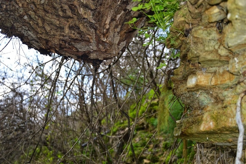 Путешествие по традиционным деревушкам Кипра. Хулу и секретный водопад. Часть 3: фото 91