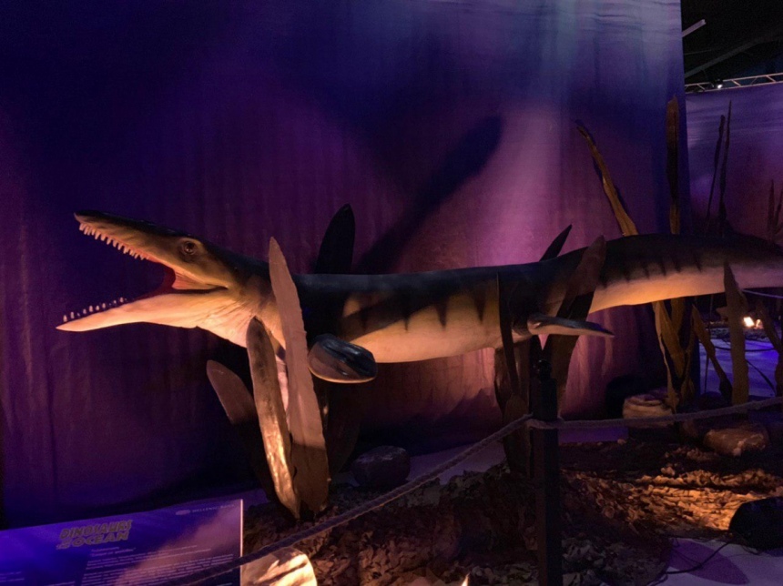 «Динозавры океана» добрались в Никосию! А вы уже их видели?: фото 3