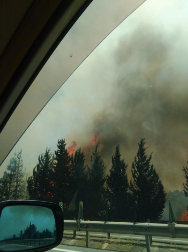 На трассе Никосия — Лимассол произошел крупный пожар: фото 3