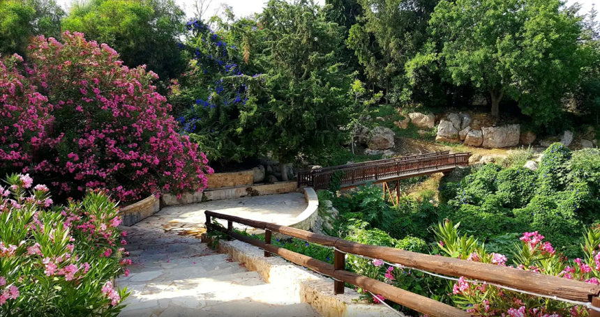 Лемба Парк - цветочный рай на Кипре, где запахи просто завораживают!: фото 6