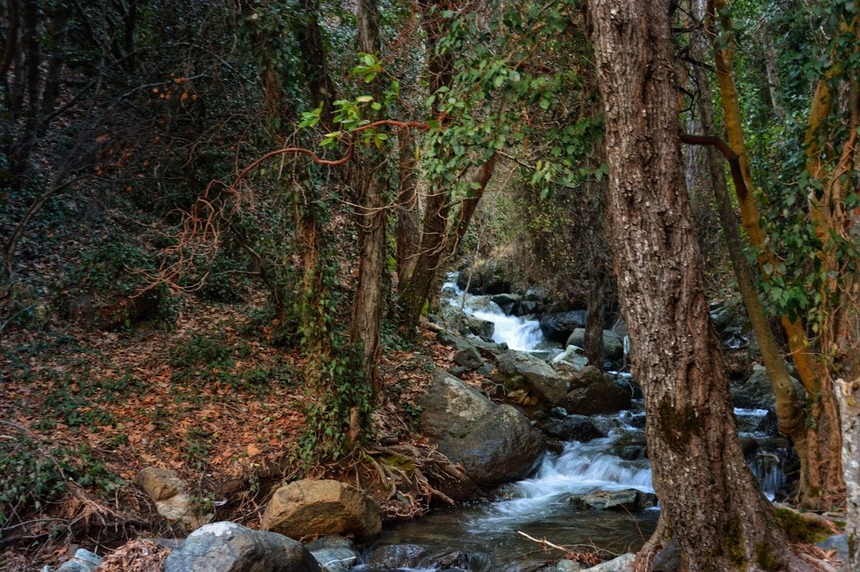 Путешествие до водопада Каледония на Кипре: фото 82