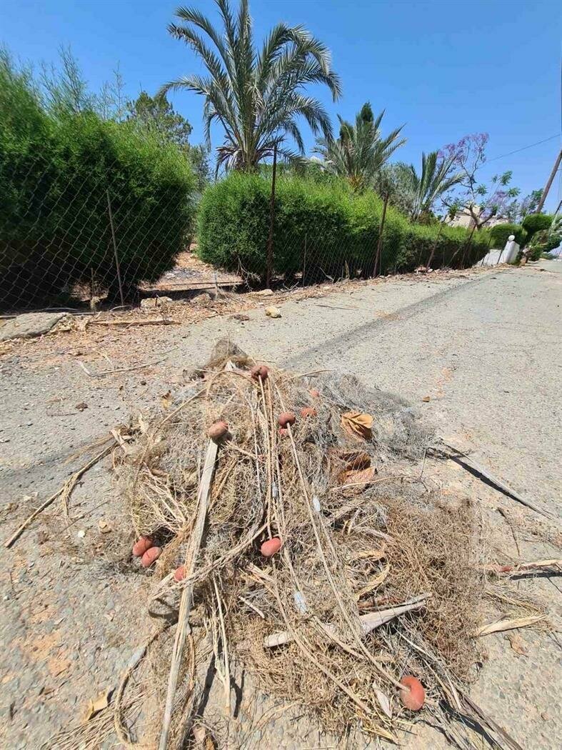 На Кипре стартовала кампания против установки змеиных сетей: фото 3