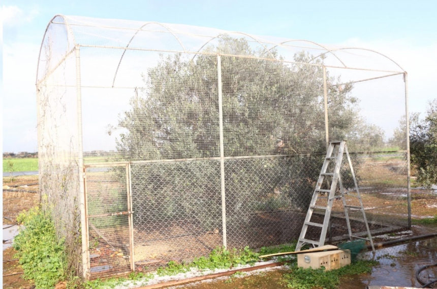 На Кипре задержали жестокого браконьера: фото 3